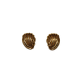 Swirled Shell Clip-on Earrings