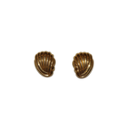 Swirled Shell Clip-on Earrings
