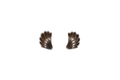 Large Shell Clip-on Earrings